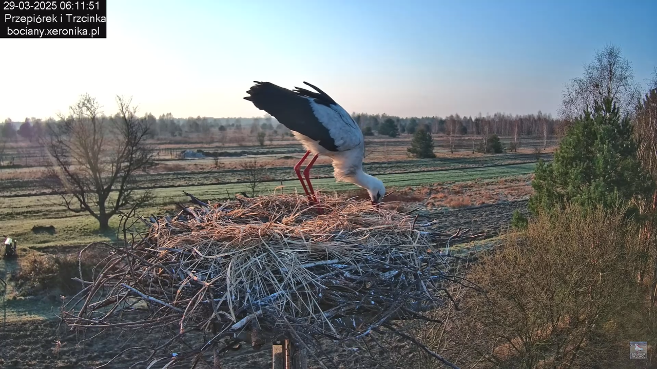 29032025porannezamieszanie_12