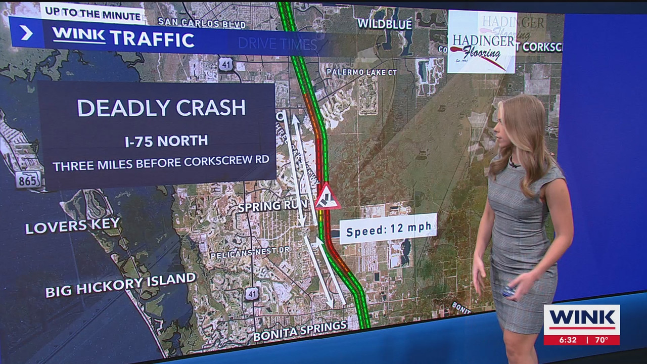 WINK News at 630am_20241101_10301100.ts_snapshot_02.55.767
