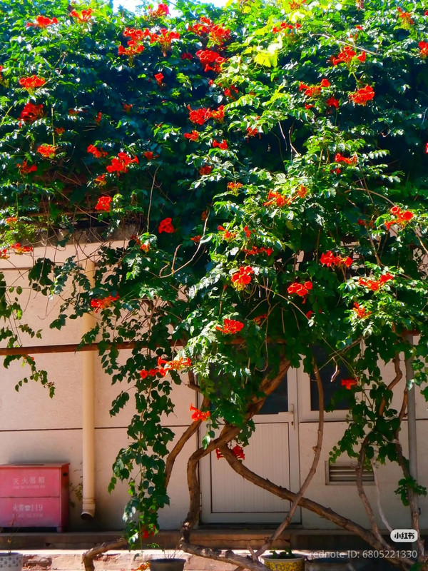 photo 15 2025 12 27 21 17 36