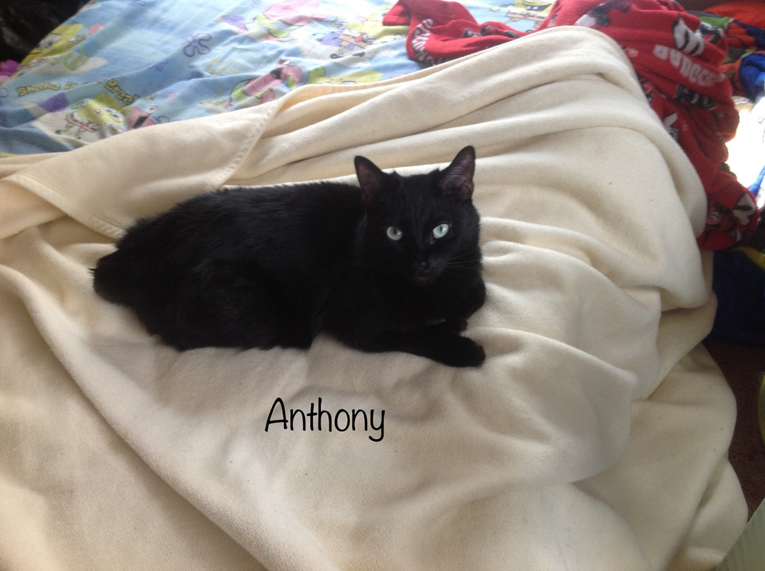 7C966CAE-7F3E-4C16-BFFC-AAB190E113EE