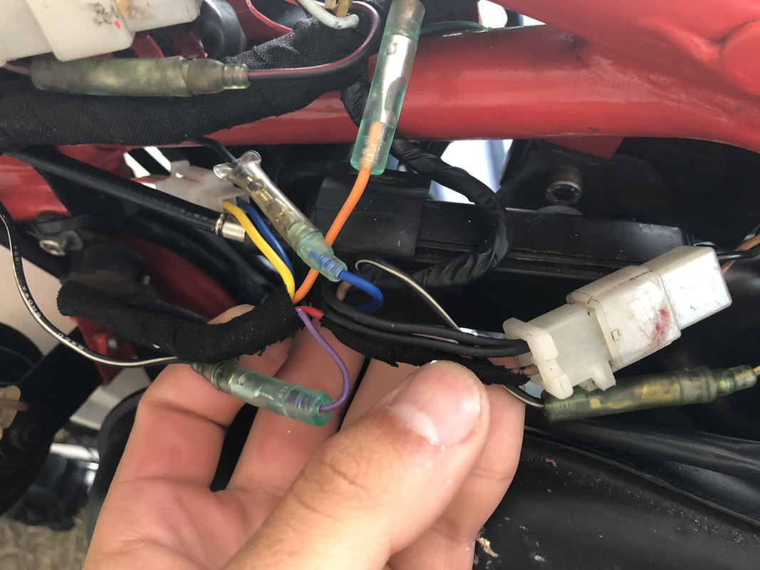 0F13DF60-F970-4E1D-A721-DA8CF8087563