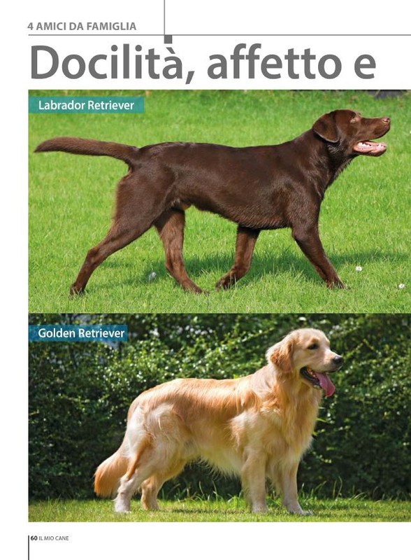 Il M C Mar-Apr 2024 (11)