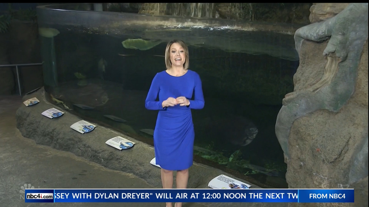 11.07 - 15.00.00 - Earth Odyssey With Dylan Dreyer. The world's smart....ts_snapshot_00.25.05.309