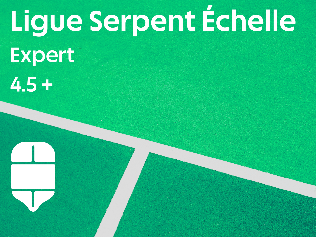 Ligue Serpent Échelle - Expert 4.5+
