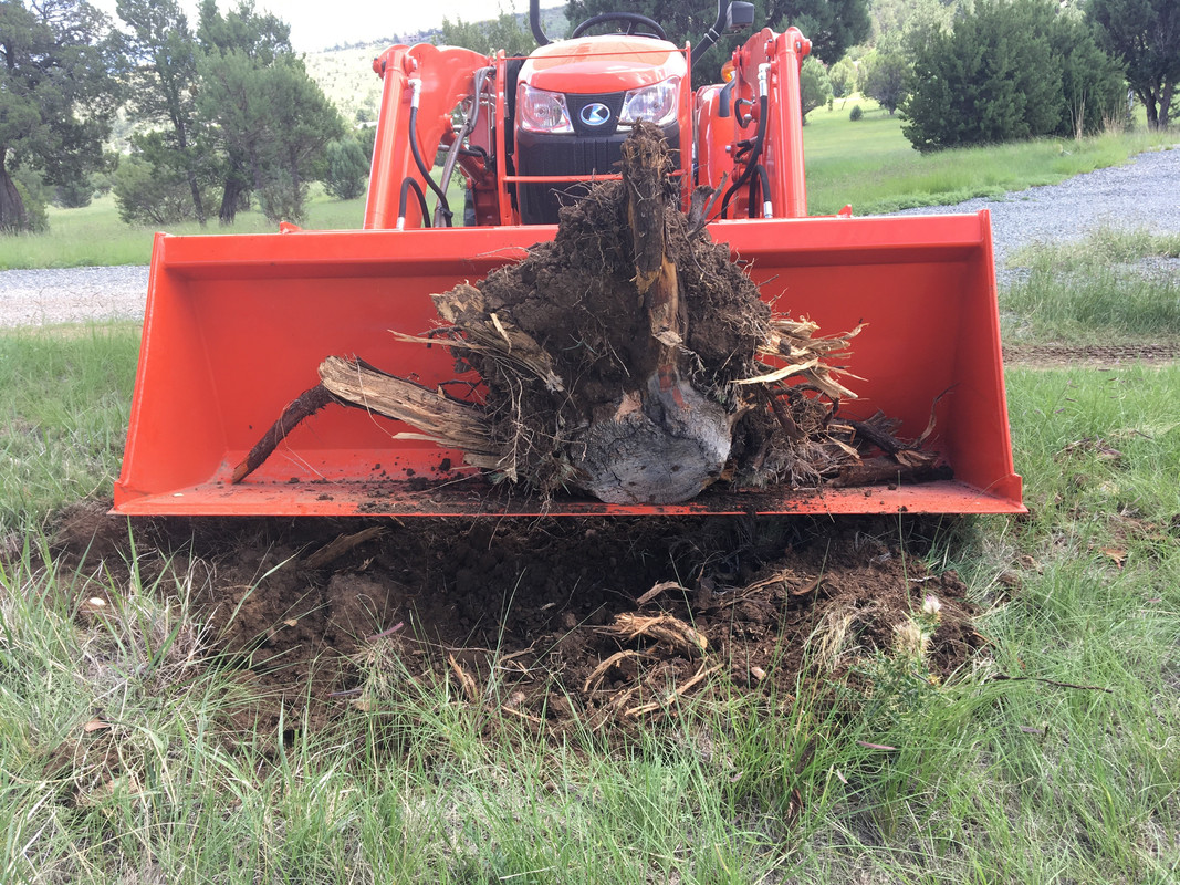 EA318286-BB16-4FCC-8172-CD85F875CD05