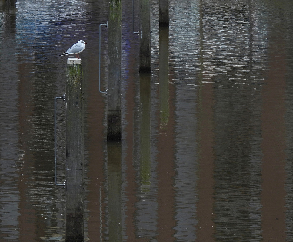 Lijnen, ritmes, spiegelingen, visuele verrassingen in het centrum van Zwolle