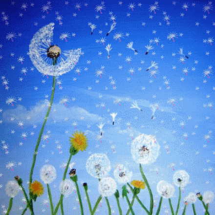 dandelion