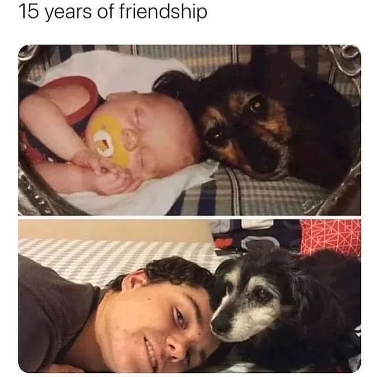 nsidb6iwfg3h1