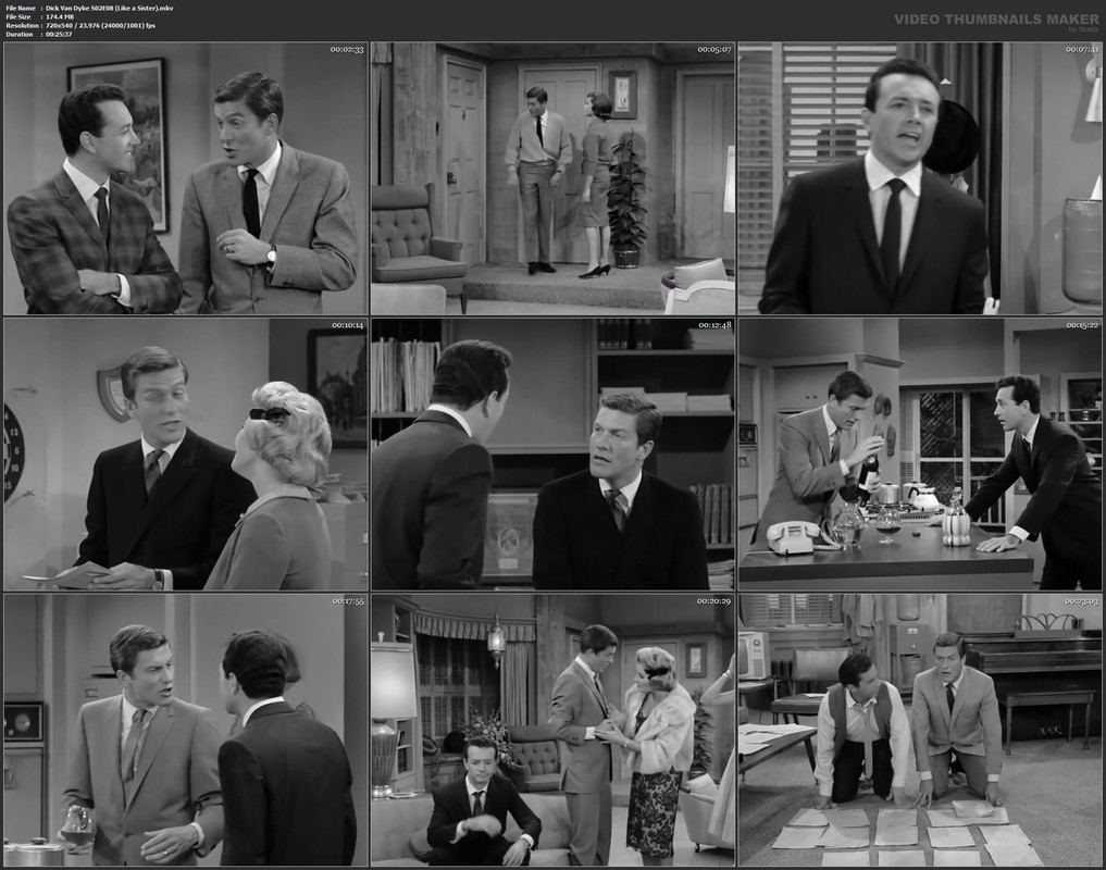 Dick Van Dyke S02E08 (Like a Sister).mkv