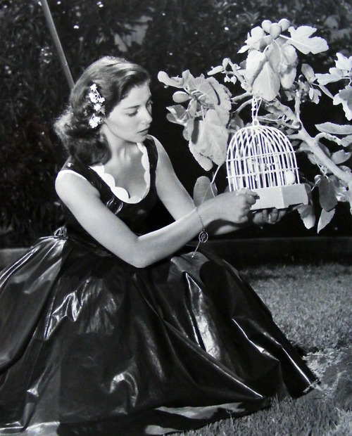 pier_angeli_mb49