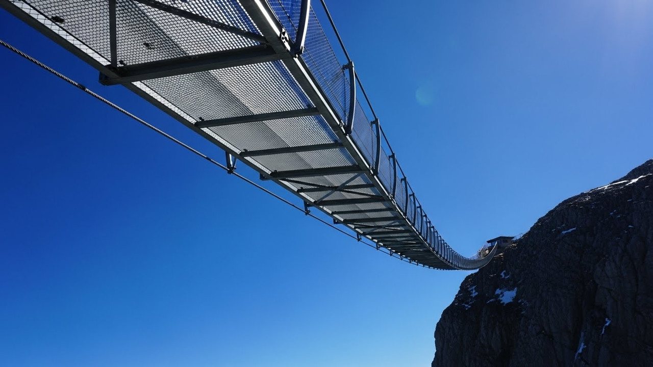 Floresta alpina com cogumelos vermelhos