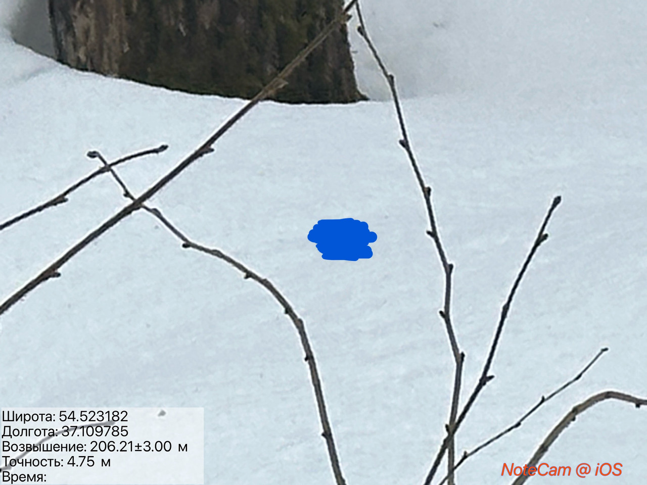 IMG E7620