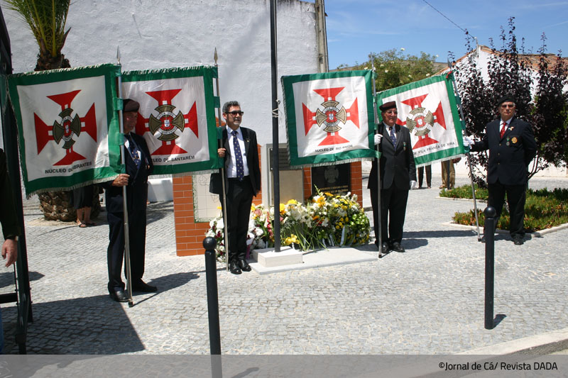 SS_combatentes_VCO15