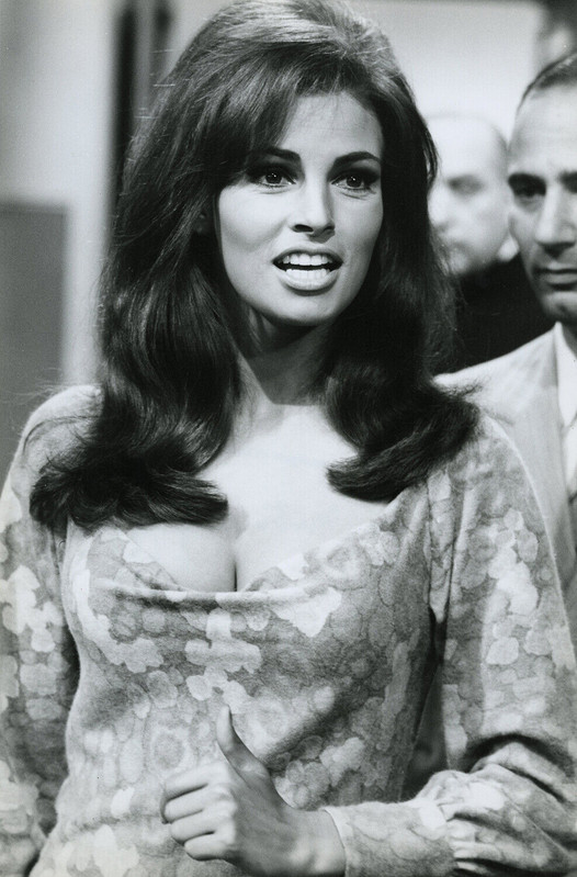 raquel welch h03