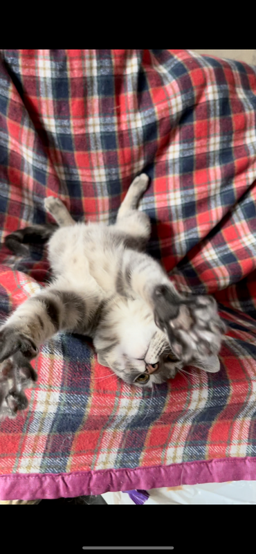 D3047D27-0958-4D82-9464-AF61F37CE68C