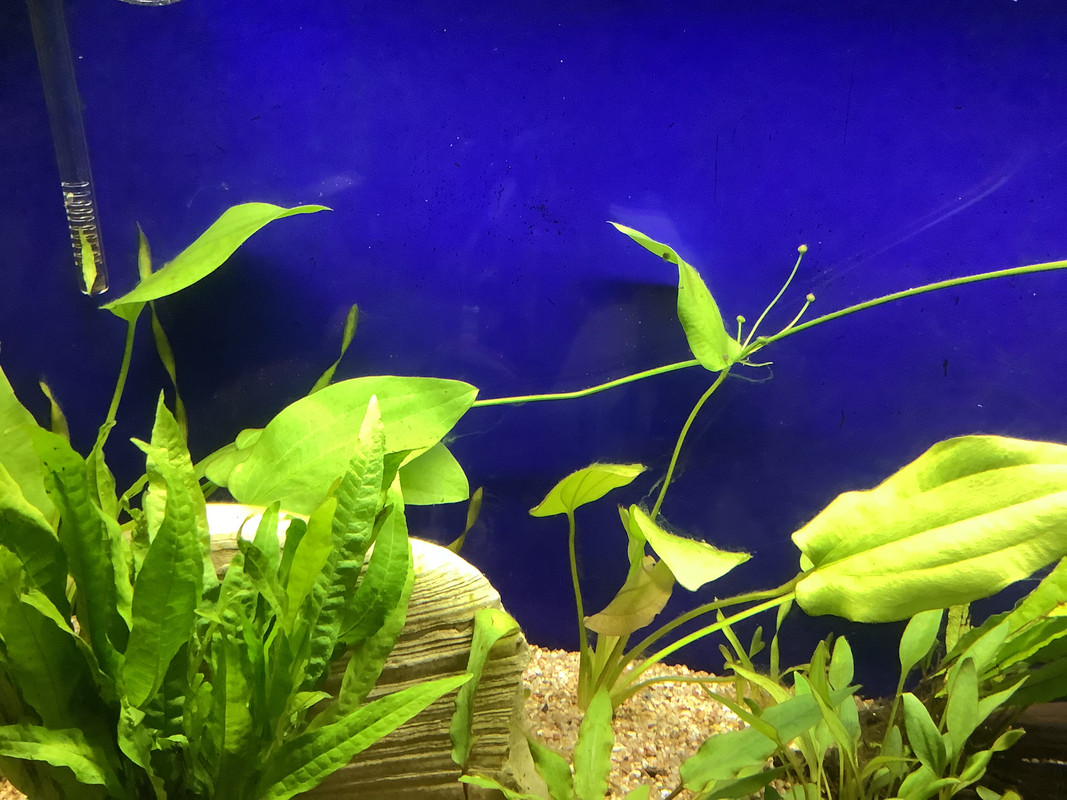 1EFB6015-3814-4EFF-A8C4-3FFD480CA082