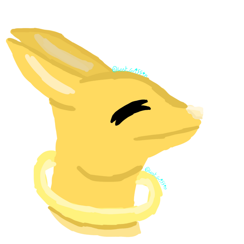 256148.png
