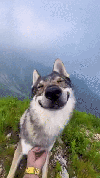 ezgif-60f5dcf47b310746.gif