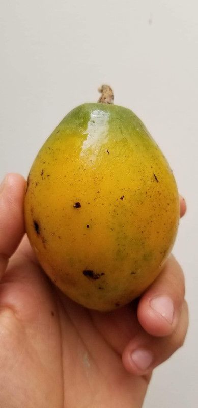 FB_IMG_1693379121551