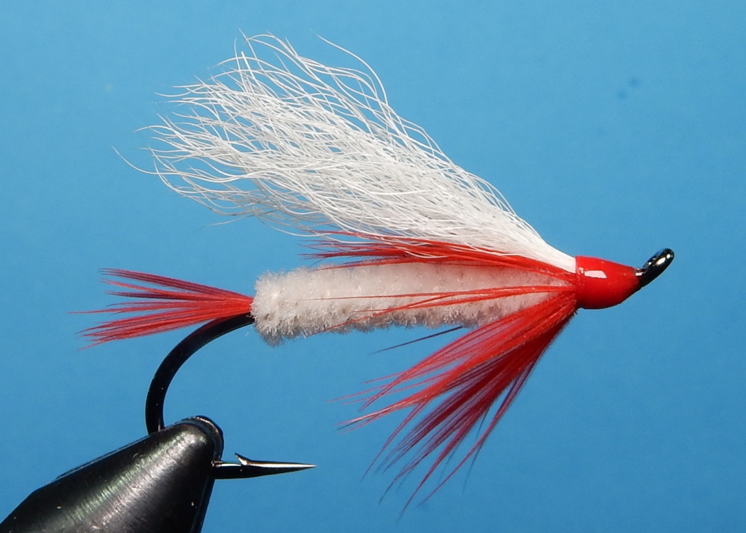 Ringold-1080.jpg