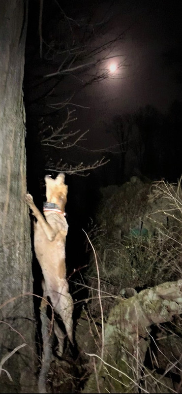 Resized_IMG_4282 (1)