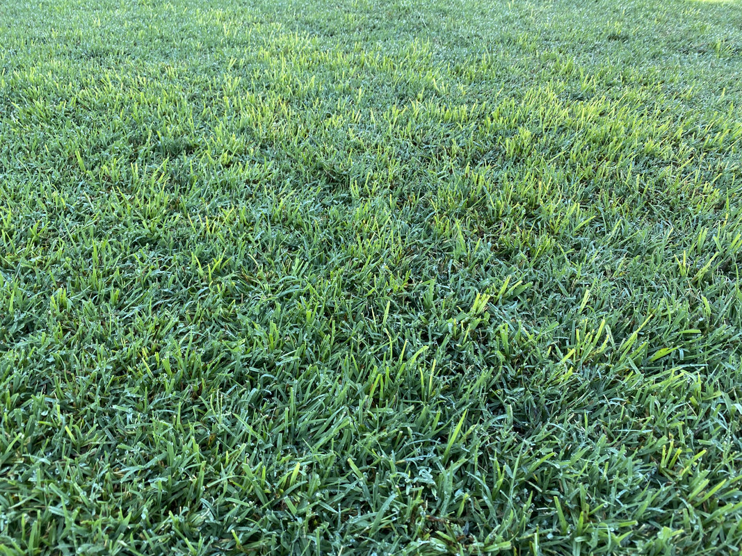 30637927-1AFF-4616-BA33-FBEBEFBD6195