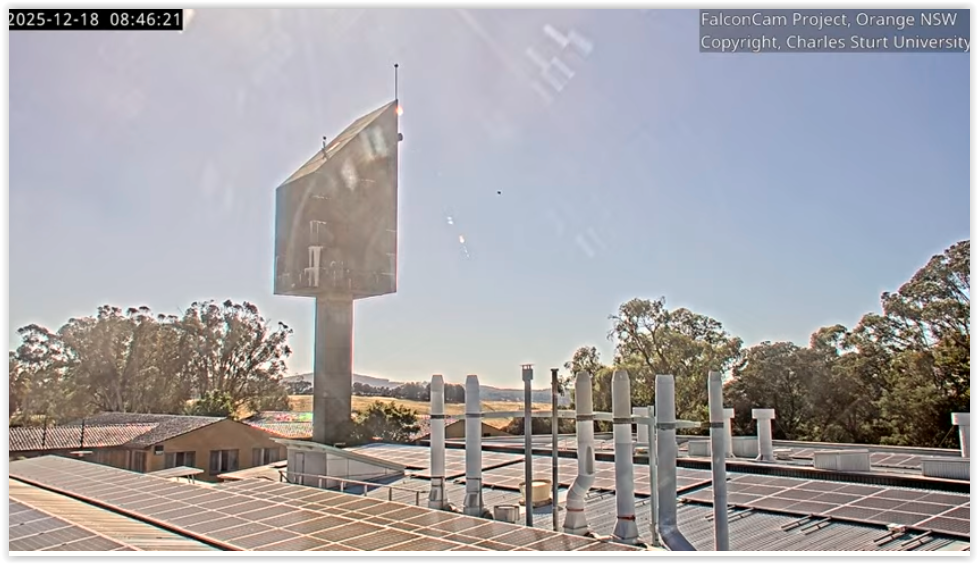 Screen Shot 12 18 25 at 08 41 AM