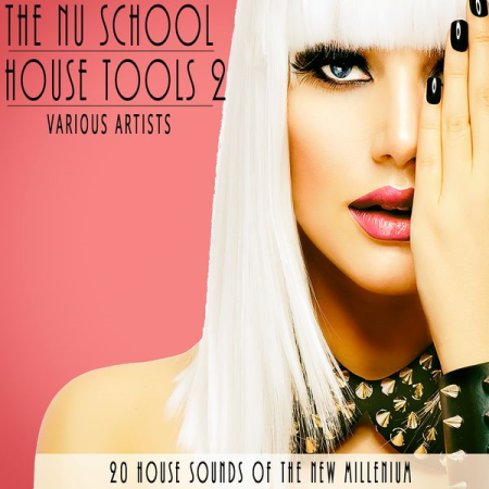 Various Artists - The Nu School House Tools 2 (2020)