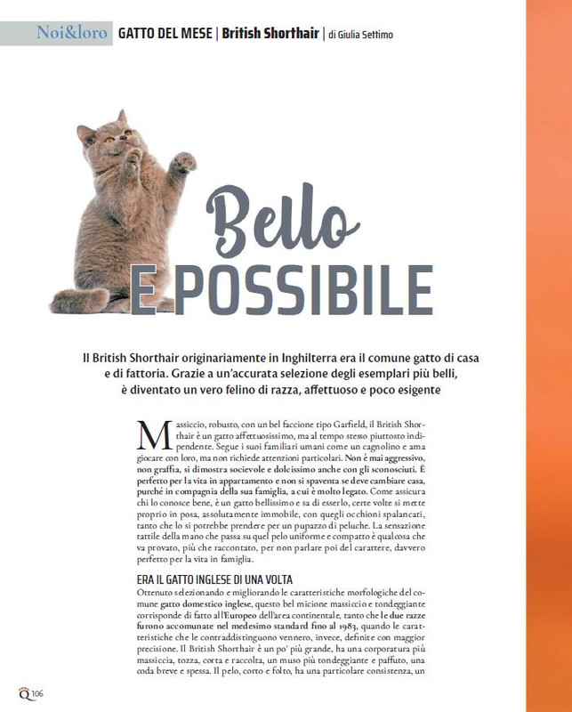 QuattroZampe Nov 2022 (9)