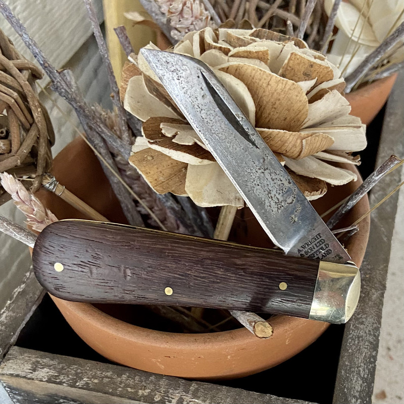 73E0E4F0-3283-46FE-A322-B6EEDB5B6250_1_201_a