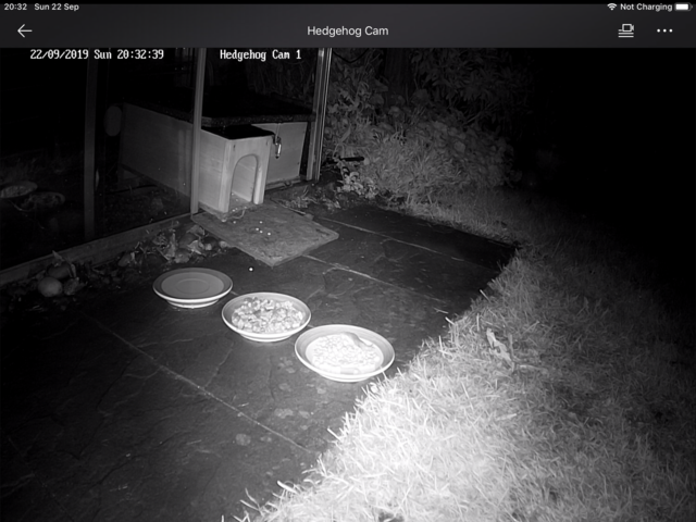 D7A51490-D7C4-4702-8869-F8ADA3FA5909