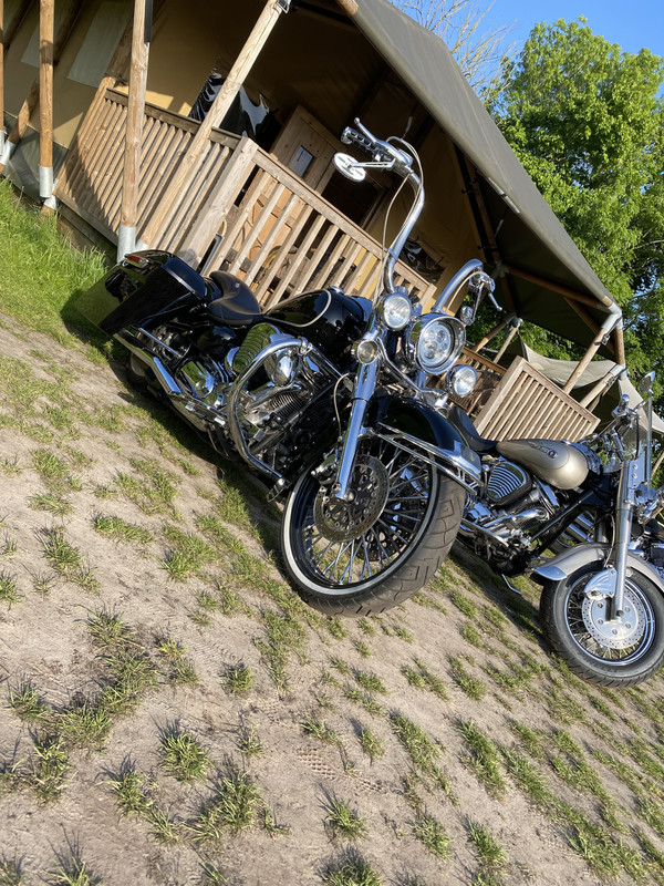 IMG_3713