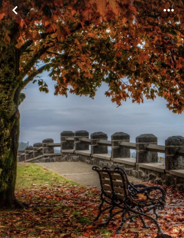 Screenshot_20231113_234012_Pinterest