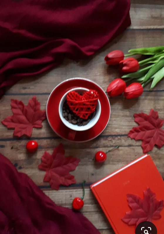 Screenshot_20230421_000708_Pinterest