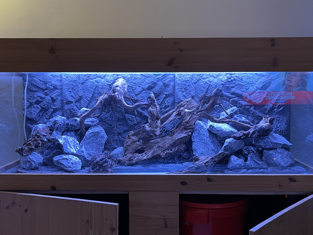 EA14EA60-0CAD-4EBE-ADD1-DAA7FE609730