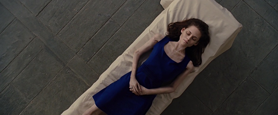 The Twilight Saga: Breaking Dawn - Part 1 2011 BluRay [Hindi + Tamil + Telugu + English] 480p, 720p, 1080p ESub Screenshot