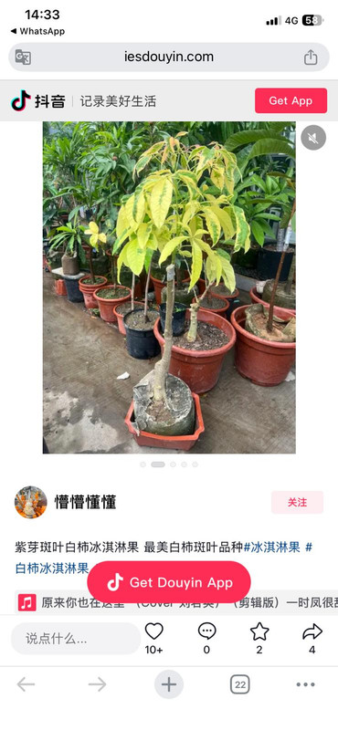 IMG 20260301 WA0007