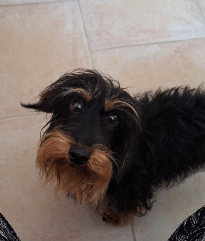 [Image: 20250711-175939.jpg]