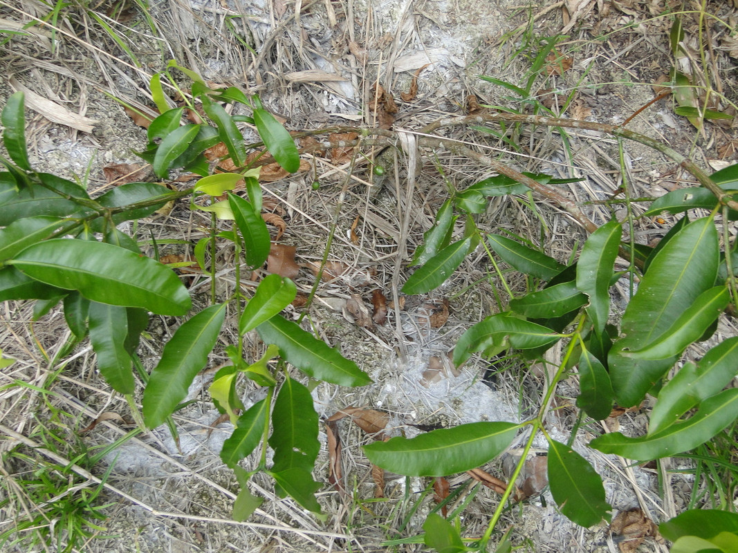 DSC01186