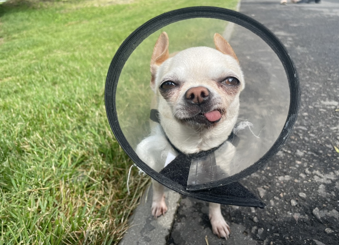 9EF0A313-51AF-40D0-996A-8C17AE0B98EE