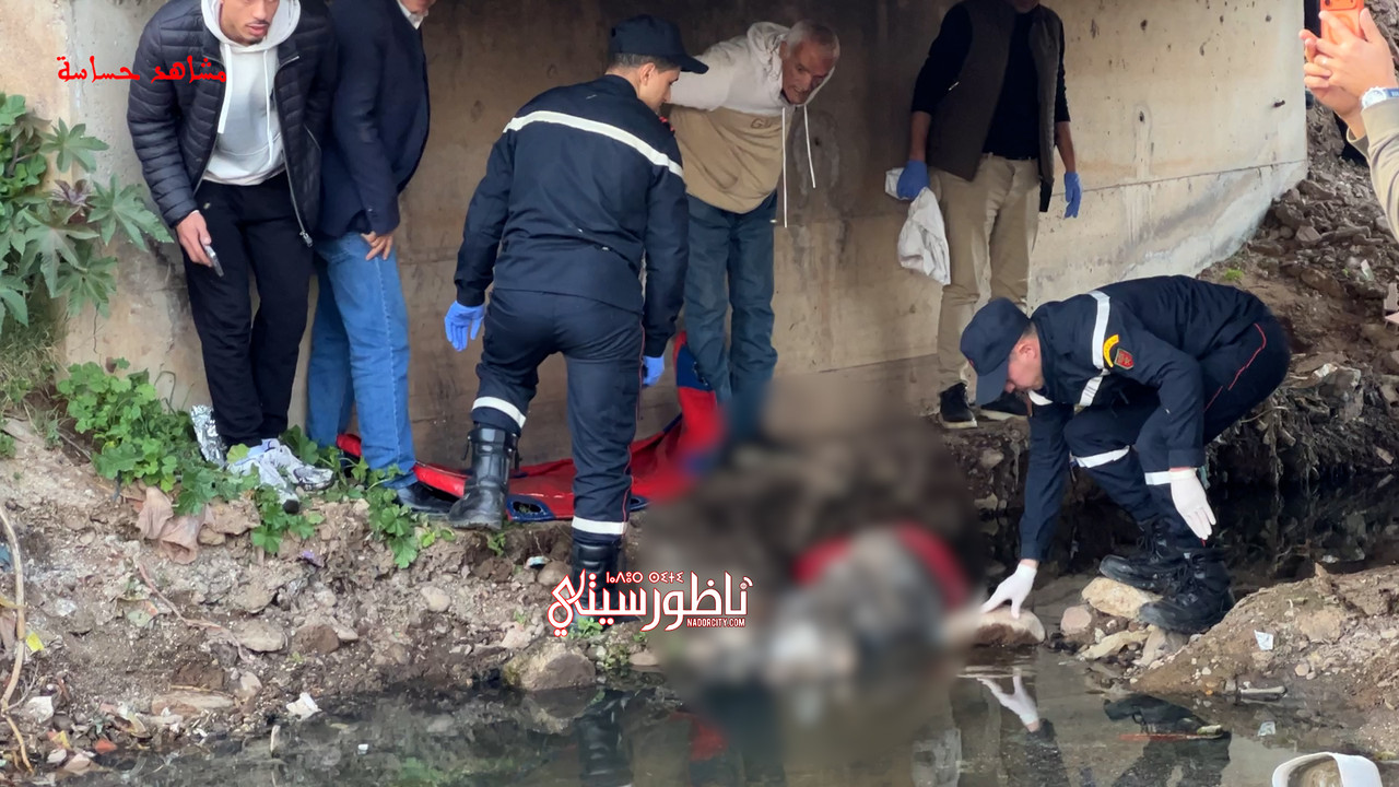 Sequence-01-00-00-24-25-Still007