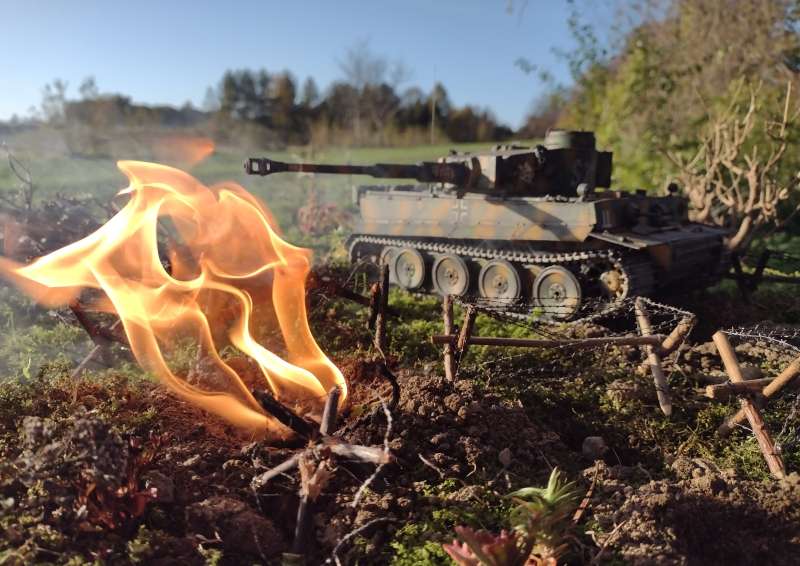 IMG_20241024_155411995_BURST003