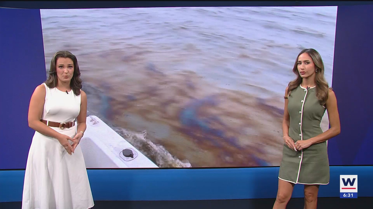 WINK NEWS at 600am Sunday_20250824_11001200.ts_snapshot_00.32.05.518