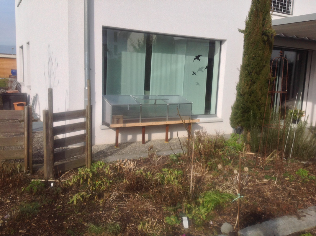 Frühbeet Kasten 06.02.2016 (4)