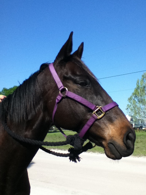 0D3D6D62-DBA7-4FA6-8E25-3328413F330C