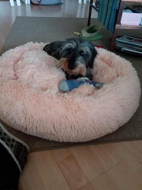 [Image: 20210109-150740-copy-1024x1365.jpg]