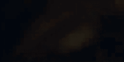 Dark-Lily-400