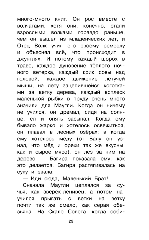 ASE000000000865157-23