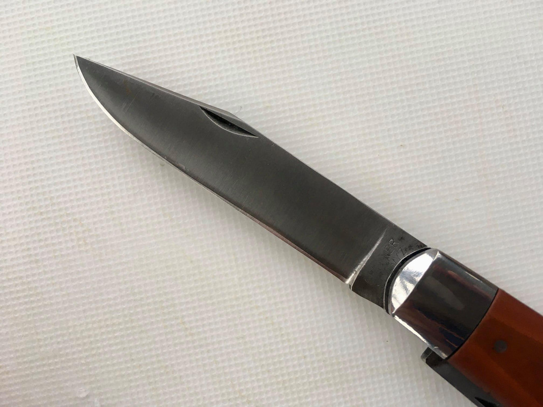 311742622_10226092388390494_3155799406970006374_n (1)