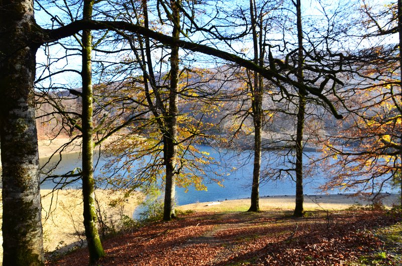 SELVA DE IRATI-14-11-2015-NAVARRA - Paseando por España-1991/2015-Parte-1 (93)